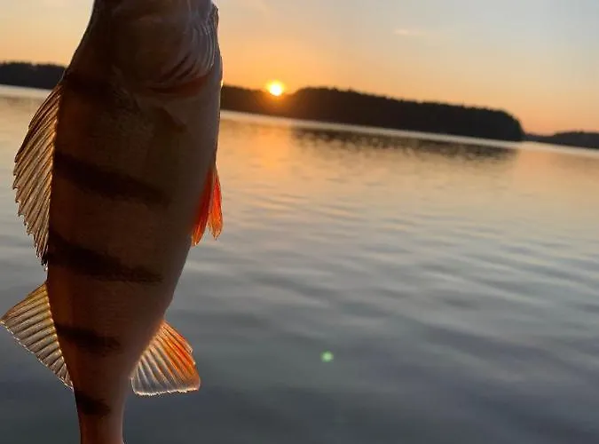 Schadzka W Dwunastce Z Widokiem Na Jezioro *